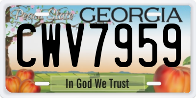 GA license plate CWV7959
