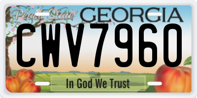 GA license plate CWV7960