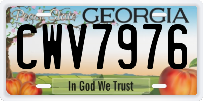 GA license plate CWV7976
