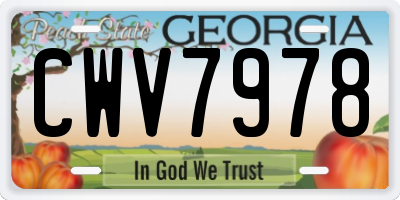 GA license plate CWV7978