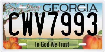 GA license plate CWV7993