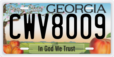 GA license plate CWV8009