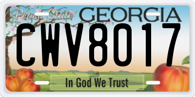 GA license plate CWV8017