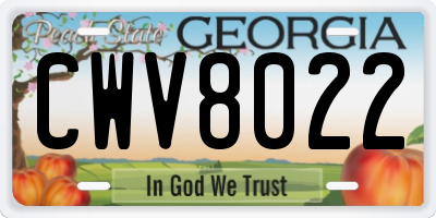 GA license plate CWV8022