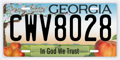 GA license plate CWV8028