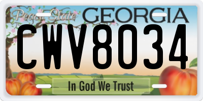 GA license plate CWV8034