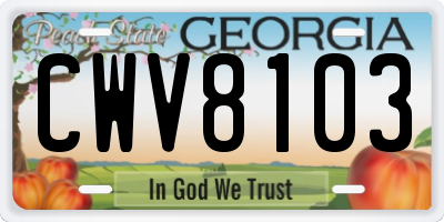 GA license plate CWV8103
