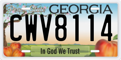 GA license plate CWV8114