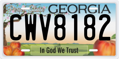 GA license plate CWV8182