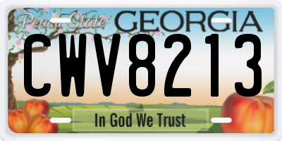 GA license plate CWV8213