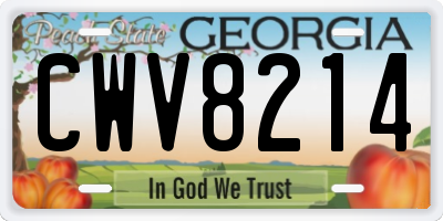 GA license plate CWV8214
