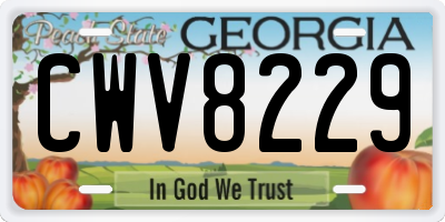 GA license plate CWV8229