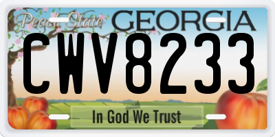 GA license plate CWV8233