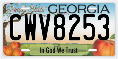 GA license plate CWV8253