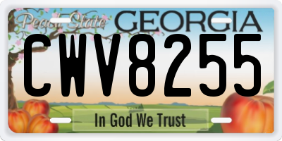 GA license plate CWV8255