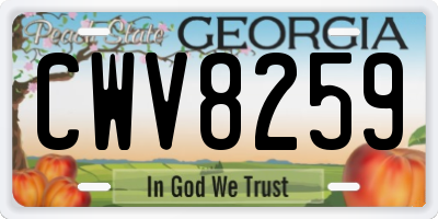 GA license plate CWV8259