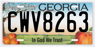 GA license plate CWV8263