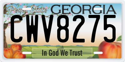 GA license plate CWV8275