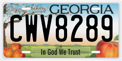 GA license plate CWV8289
