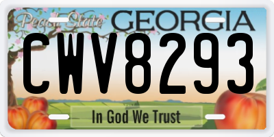 GA license plate CWV8293