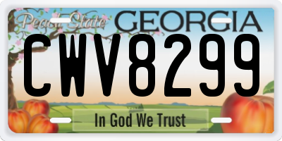 GA license plate CWV8299