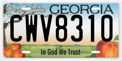 GA license plate CWV8310