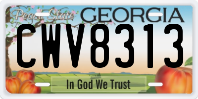 GA license plate CWV8313
