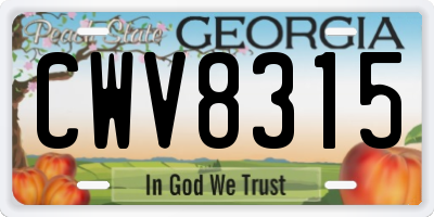 GA license plate CWV8315