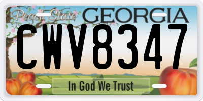 GA license plate CWV8347