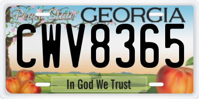 GA license plate CWV8365