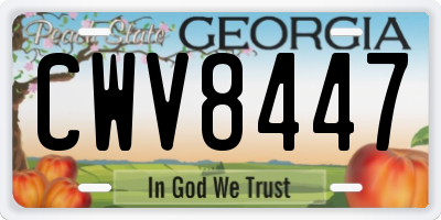 GA license plate CWV8447