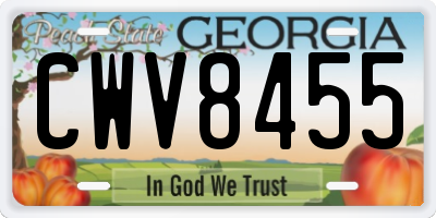 GA license plate CWV8455