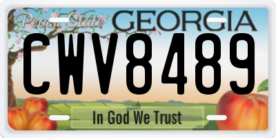 GA license plate CWV8489