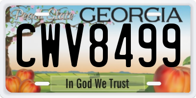 GA license plate CWV8499
