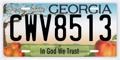 GA license plate CWV8513