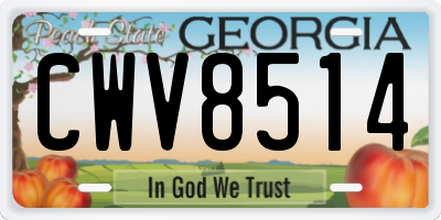 GA license plate CWV8514