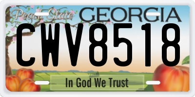 GA license plate CWV8518