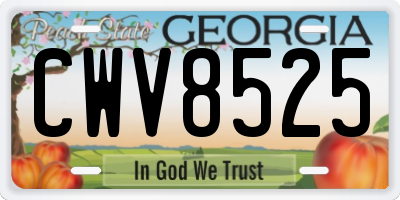 GA license plate CWV8525