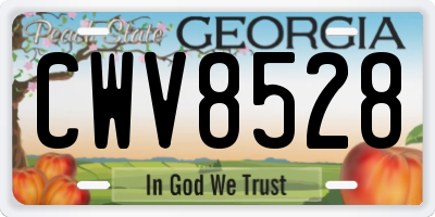 GA license plate CWV8528