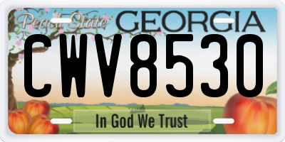 GA license plate CWV8530