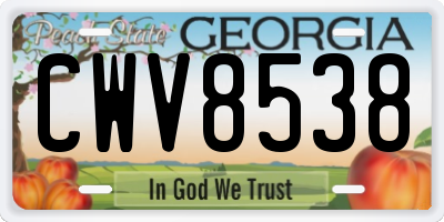 GA license plate CWV8538