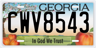 GA license plate CWV8543