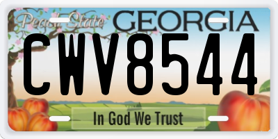 GA license plate CWV8544