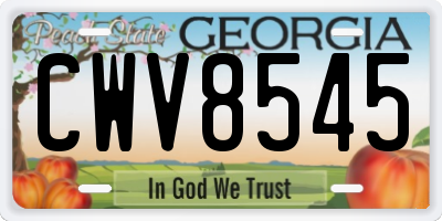 GA license plate CWV8545
