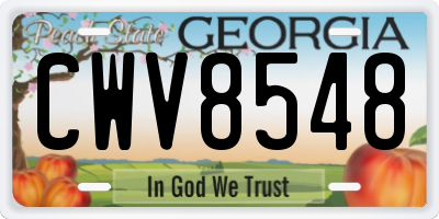 GA license plate CWV8548