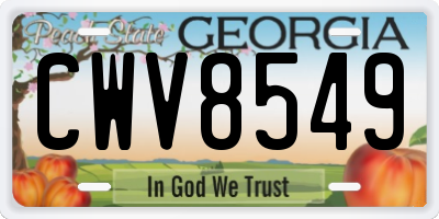 GA license plate CWV8549