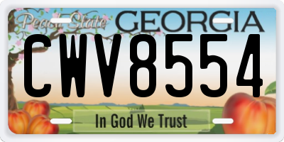 GA license plate CWV8554