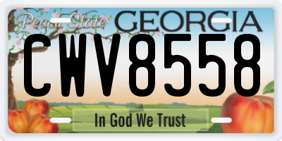 GA license plate CWV8558