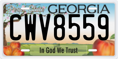 GA license plate CWV8559