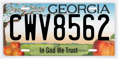 GA license plate CWV8562